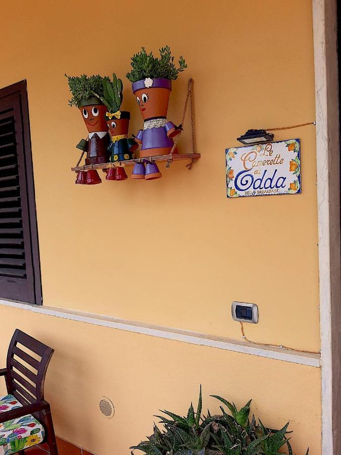 B&B Le Camerette Di Edda Cassino Exteriör bild